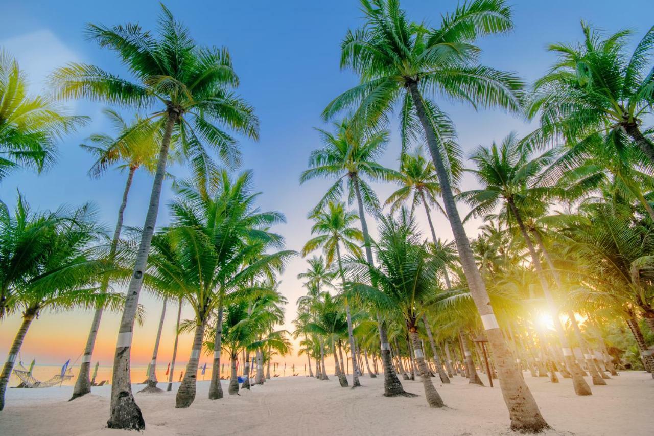 Oceanica Resort Panglao, Bohol Luaran gambar Palm trees on a beach
